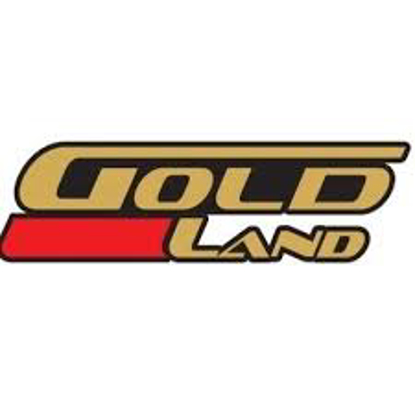 تصویر از لنت ترمز جلو پراید گلد لند